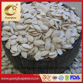 Wholesale AA Snow White Pumpkin Seeds